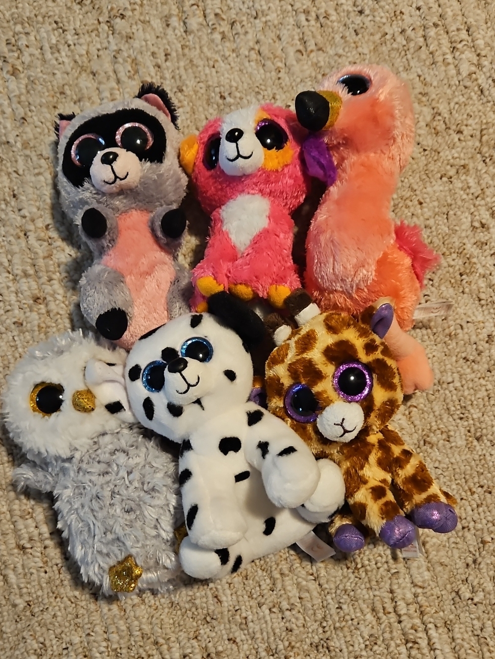 TY Beanie Boo Bundle